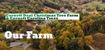 cornette deal tree farm